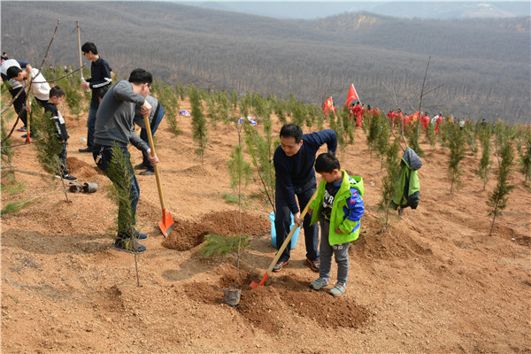 �Ĳ�������Ŀ����չ����ֲ���